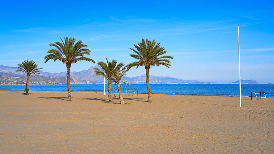 ALICANTE